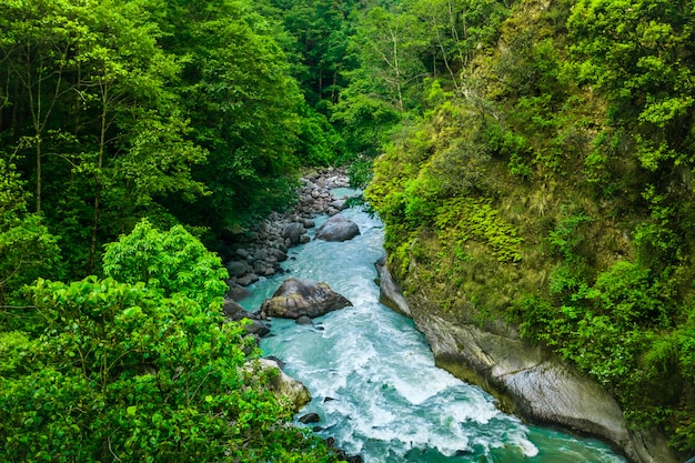 游輪長江三峽 武隆旅游攻略