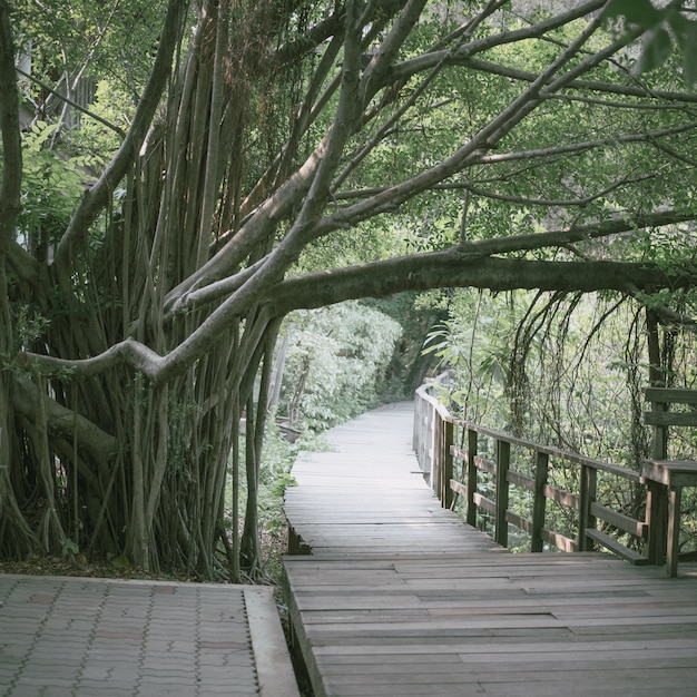 揚州南山竹海旅游攻略