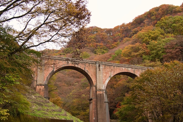 坪田鎮(zhèn)自駕游攻略