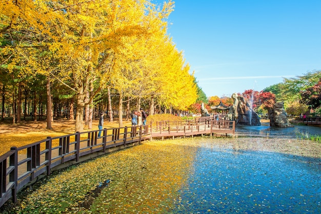 多倫多秋季旅游攻略