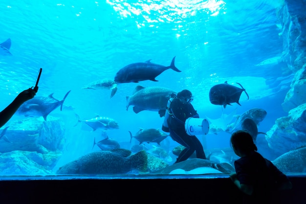 中泰海洋公園旅游攻略