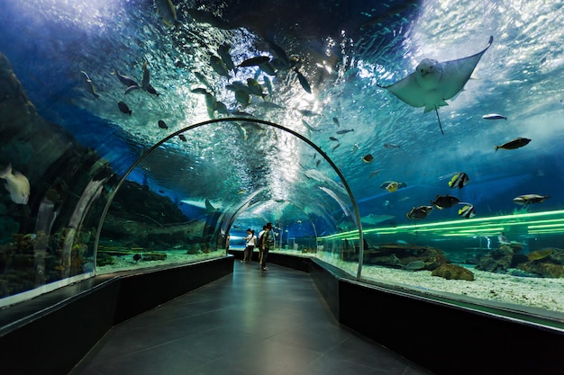 大連金沙灘周邊海鮮館