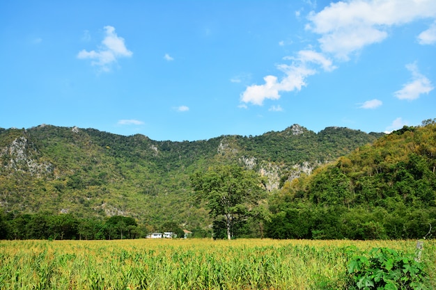 黟縣塔川村 攻略