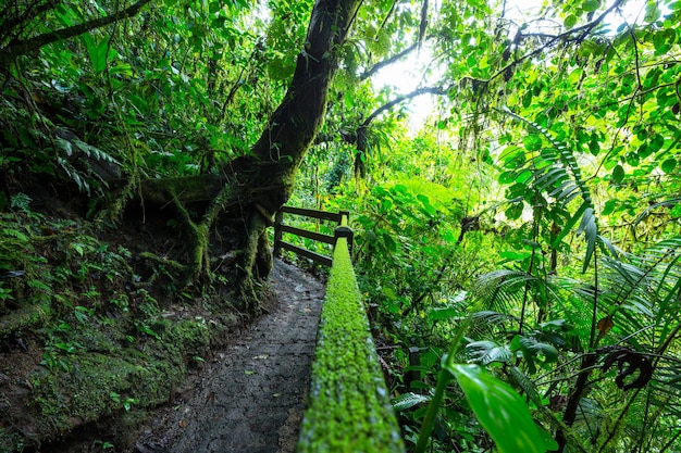 宜賓出發(fā)自駕游三天周邊旅游