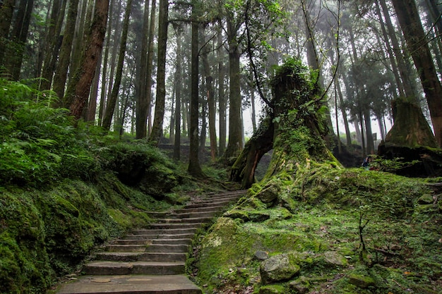 宜賓出發(fā)自駕游三天周邊旅游