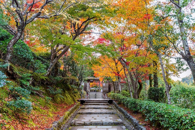 江門(mén)圭峰山楓葉攻略