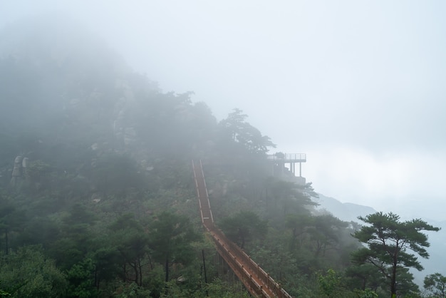 華山站周邊