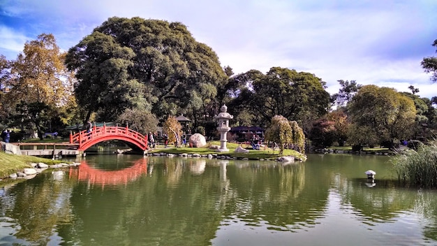 上海顧村公園游覽攻略