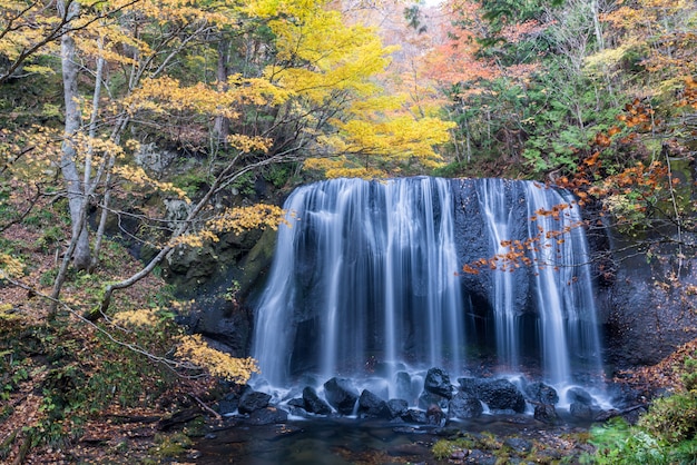 廬山賞楓葉攻略
