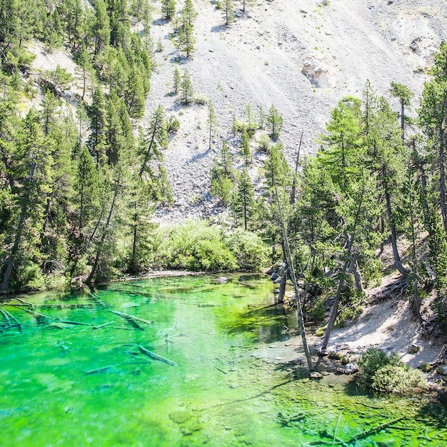 門源8月旅游攻略