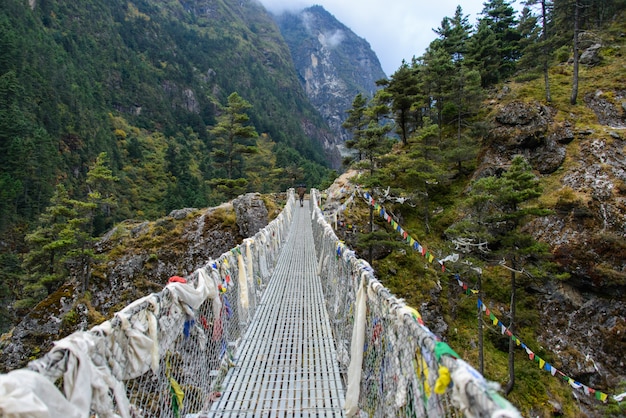 西安自駕到恩施旅游攻略