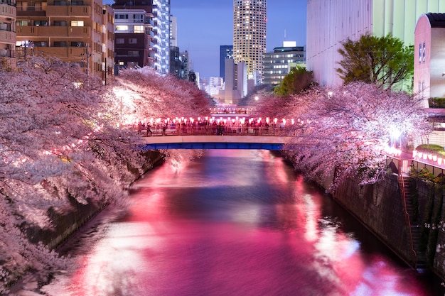 東京三井花園酒店攻略