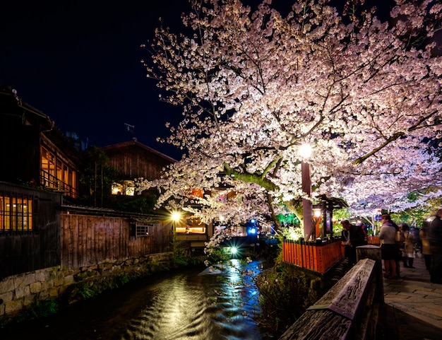 櫻花季旅游攻略