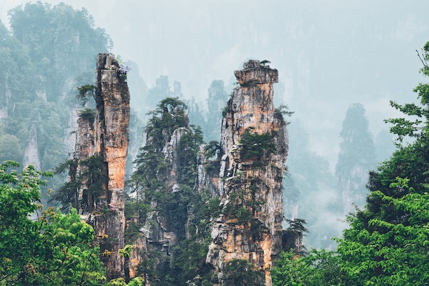 江西樂平市旅游攻略