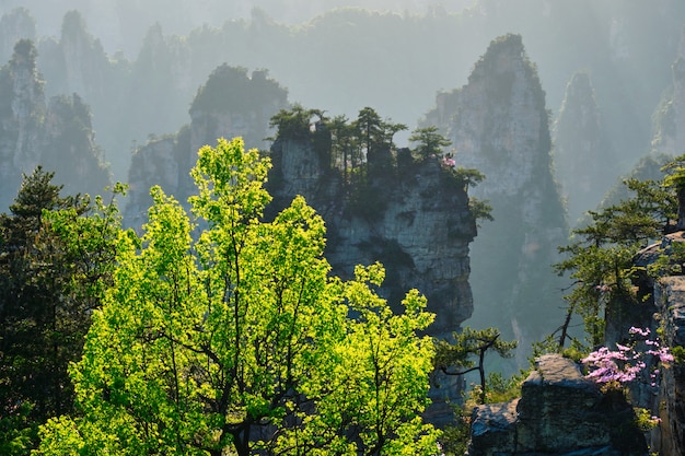 宜昌周邊旅游攻略2天