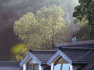 寧波到湖州莫干山旅游攻略