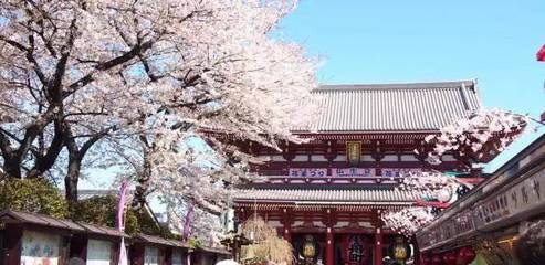 日本臺場旅游攻略