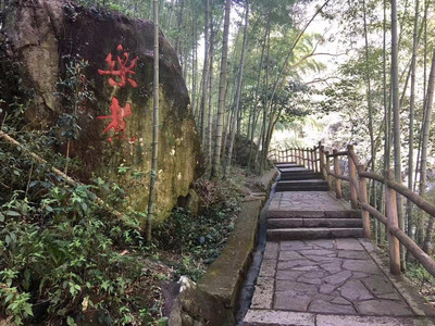 寧波到湖州莫干山旅游攻略