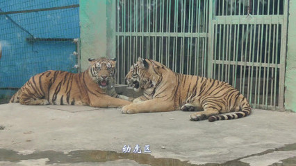 珍珠泉野生動(dòng)物園攻略