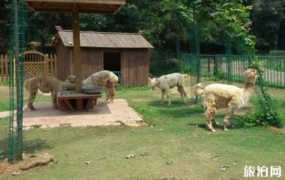 珍珠泉野生動(dòng)物園攻略