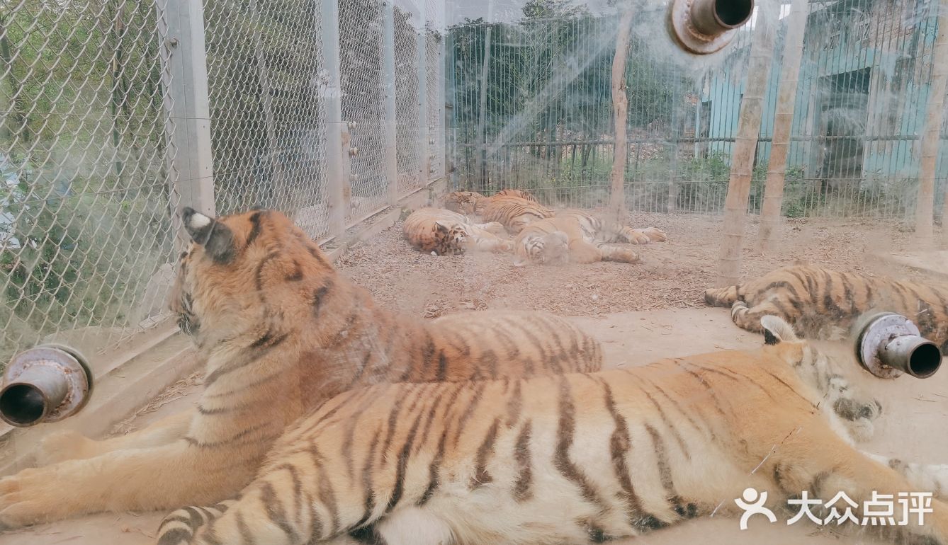 珍珠泉野生動(dòng)物園攻略