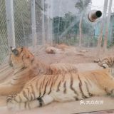 珍珠泉野生動(dòng)物園攻略