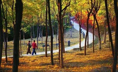 10月旅游攻略網(wǎng)