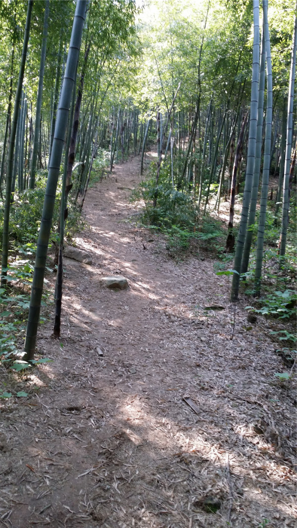 莫干山徒步攻略