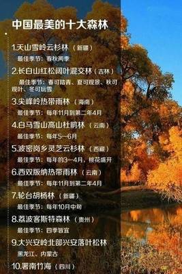 長白山紅松闊葉混交林旅游攻略