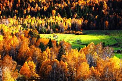 長白山紅松闊葉混交林旅游攻略