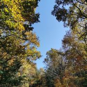 長白山紅松闊葉混交林旅游攻略