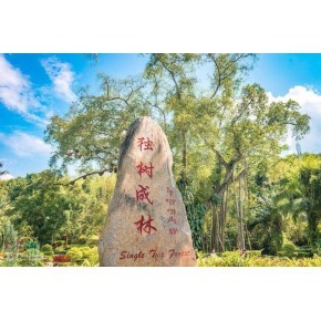 貴陽到西雙版納旅游攻略