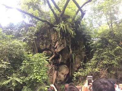 8月自駕黃果樹攻略