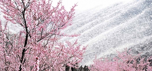 鄭州3月一日游攻略