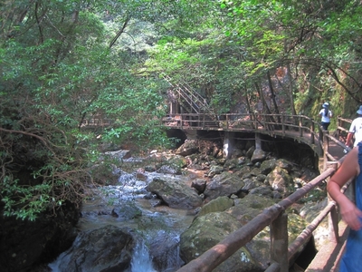 武義牛頭山戶外旅游攻略
