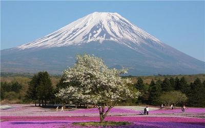 富士山開車能到幾合目 東京能看到富士山嗎?