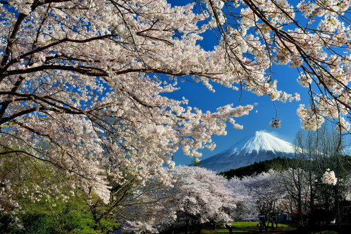 日本富士山五合目攻略