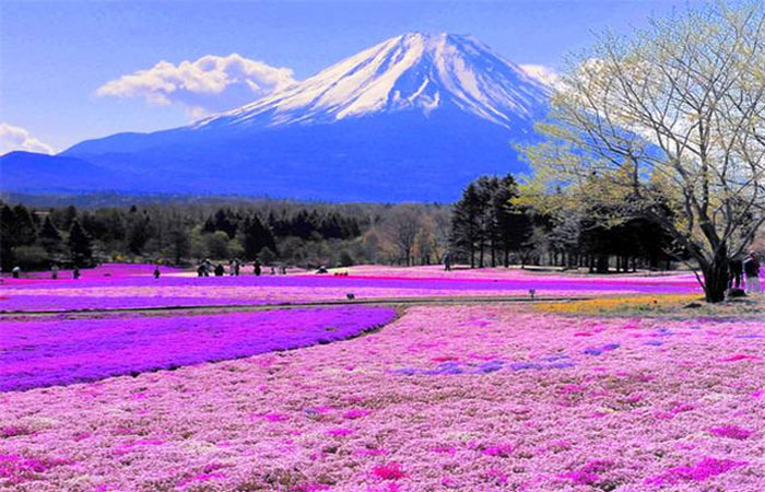 日本富士山五合目攻略