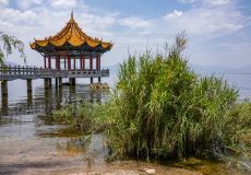 撫仙湖公園旅游攻略